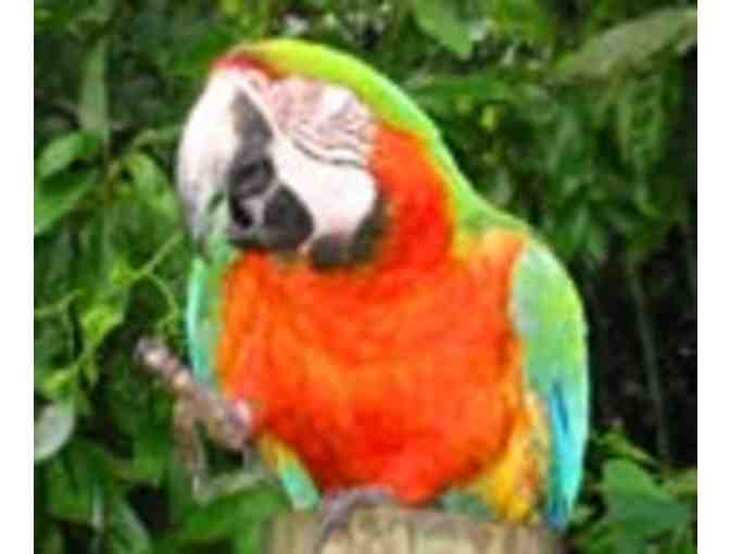 Chattanooga Zoo Family Membership