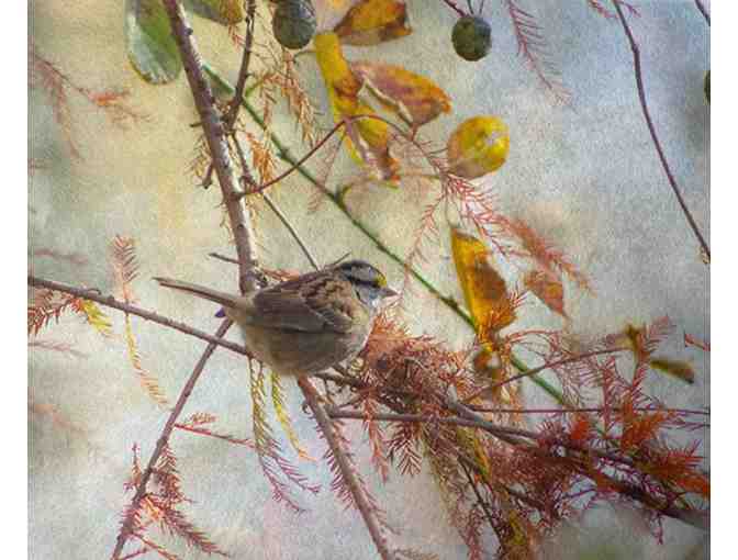 Original photos printed on Washi Paper by Rasha Hamid