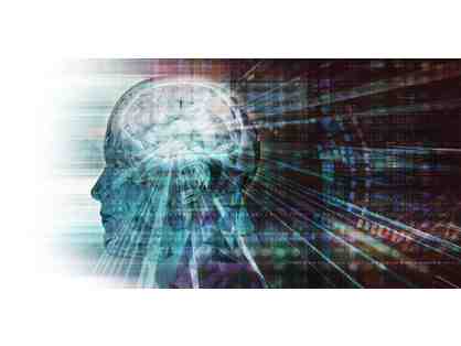 2 Sessions of Peak Performance Consulting