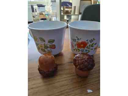 Teacup and Acorn Shaker Set