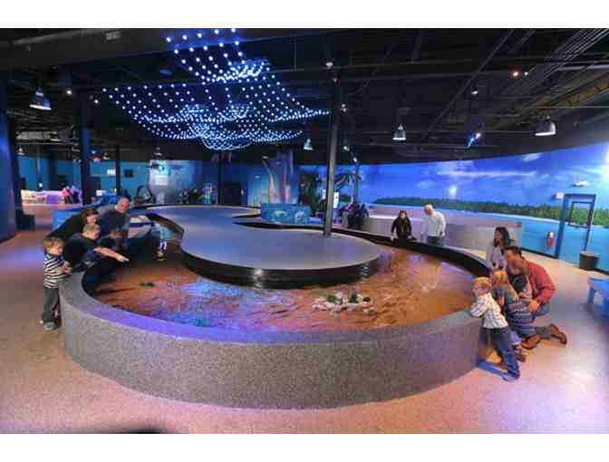 4 Passes to VIA Aquarium