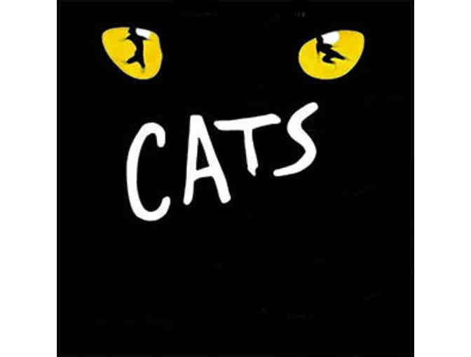 2 Tickets to Cats! at Proctors May 2022