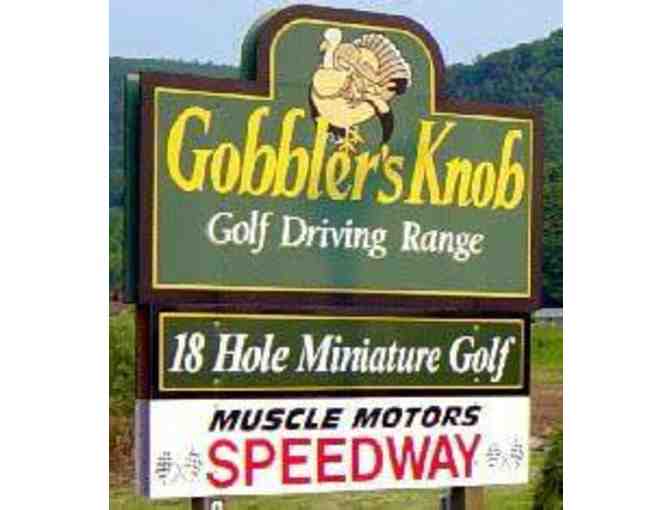 Play Mini Golf at Gobbler's Knob - Coupon Book for 6 games!