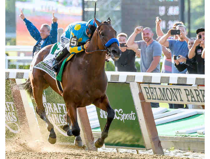 Photograph of Famous Racehorse from Award-Winning Photographer Robert Mayberger