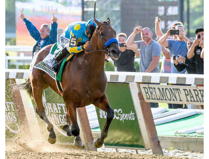 Photograph of Famous Racehorse from Award-Winning Photographer Robert Mayberger