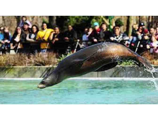 A trip for 4 to the Bronx Zoo with Yankee Trails!