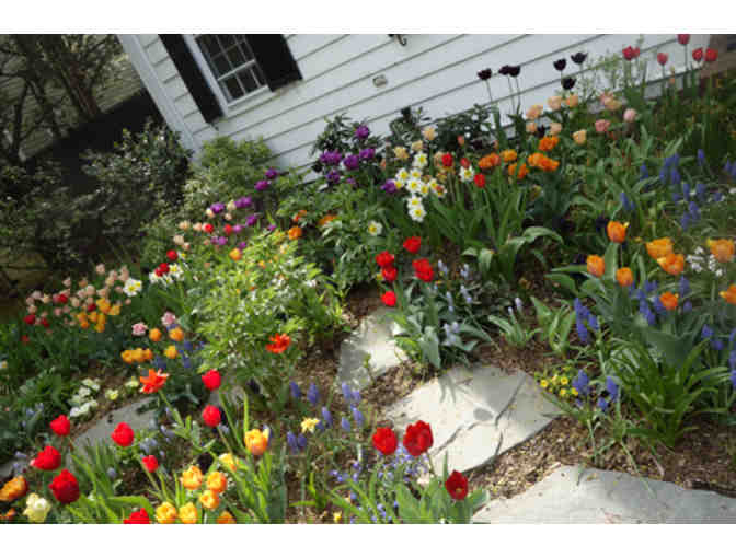 Talbot's Creative Gardening A Gift Certificate for a $100 Garden Consult