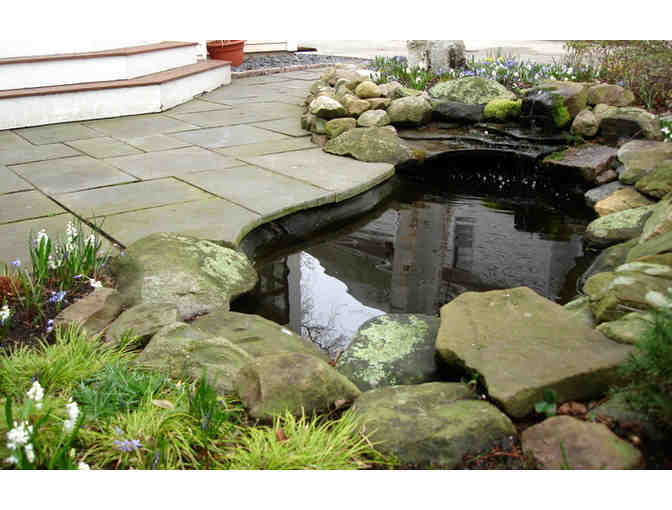 Talbot's Creative Gardening A Gift Certificate for a $100 Garden Consult