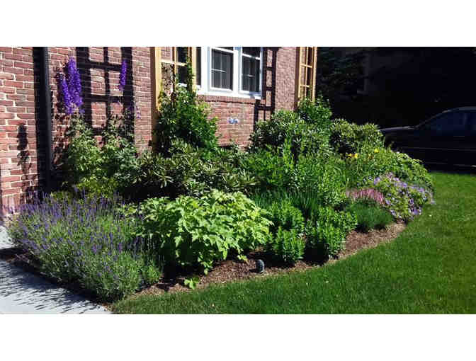 Talbot's Creative Gardening A Gift Certificate for a $100 Garden Consult