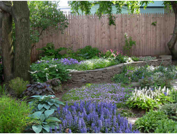 Talbot's Creative Gardening A Gift Certificate for a $100 Garden Consult