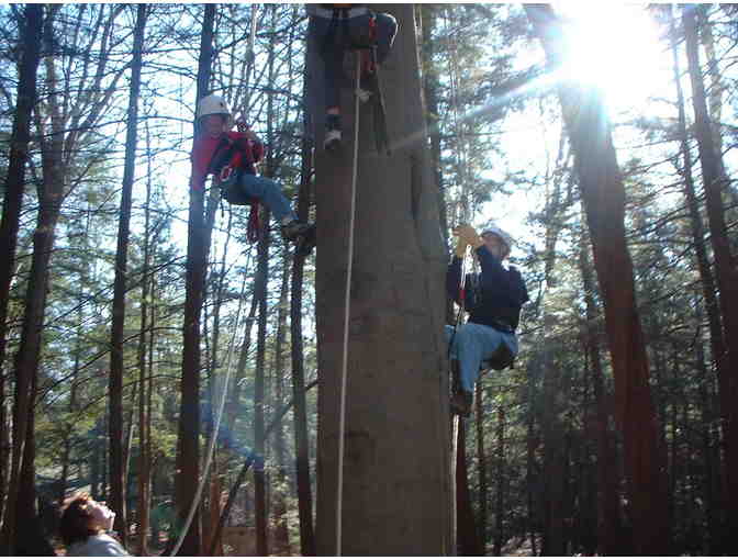 Unique Gift! Sleep in the Treetops with Friends!