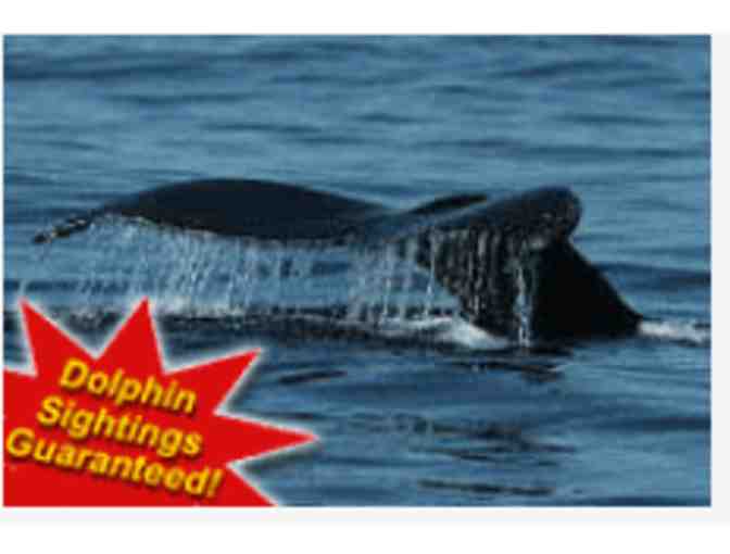 Fisherman's Wharf Excursion 3 - Dolphin/Whale Watching -Delaware