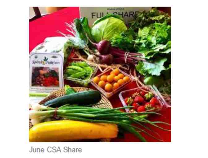 Spiral Path Farms Medium Fresh Produce Share