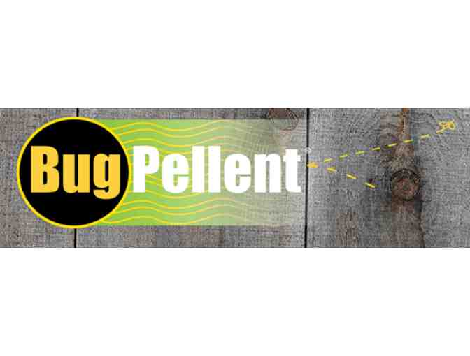 Get Rid of Flies the Safe Way