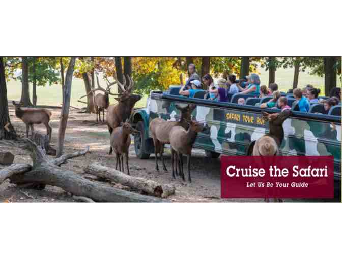 LAKE TOBIAS 3 Admissions and Safari Tours