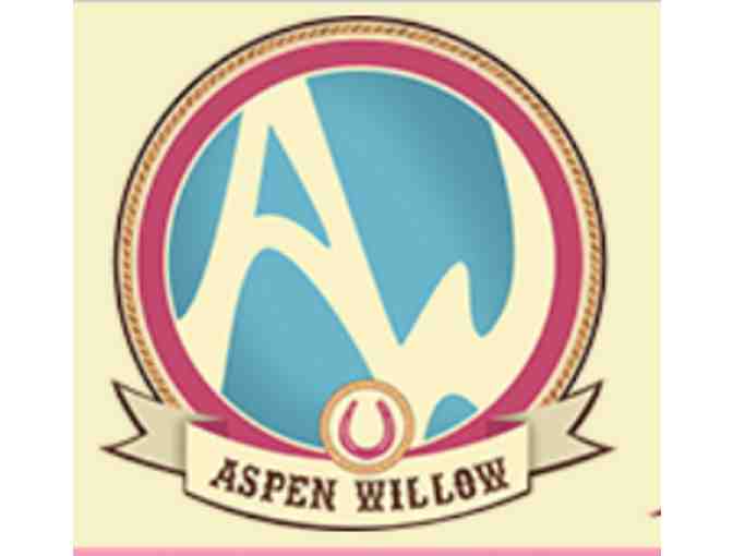 Dream Pony Series for 3rd thru 6th Grade Readers