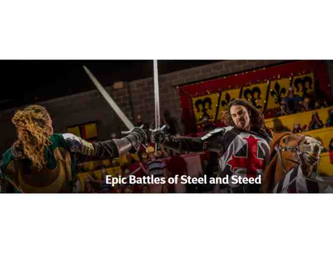 Experience the Renaissance