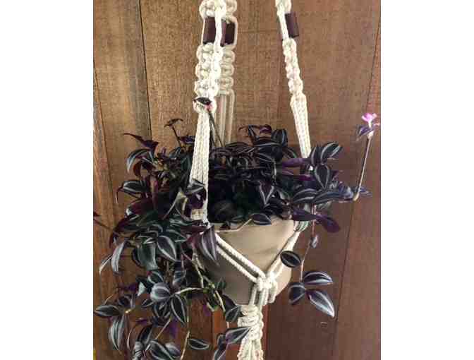 Macrame Plant Hanger
