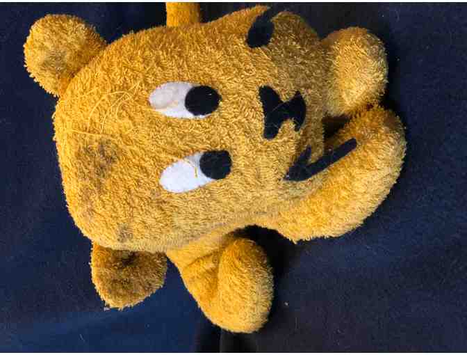 Classic Collection of the Hundred Acre Wood Gang