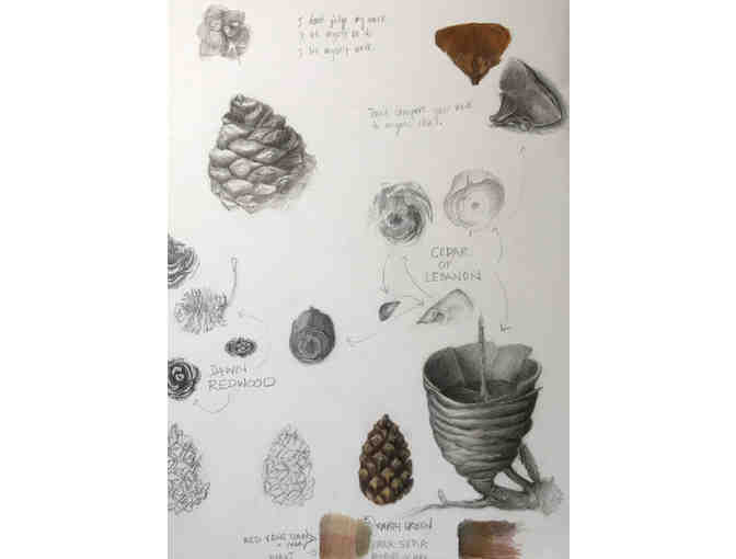 Botanical Art Greeting Cards