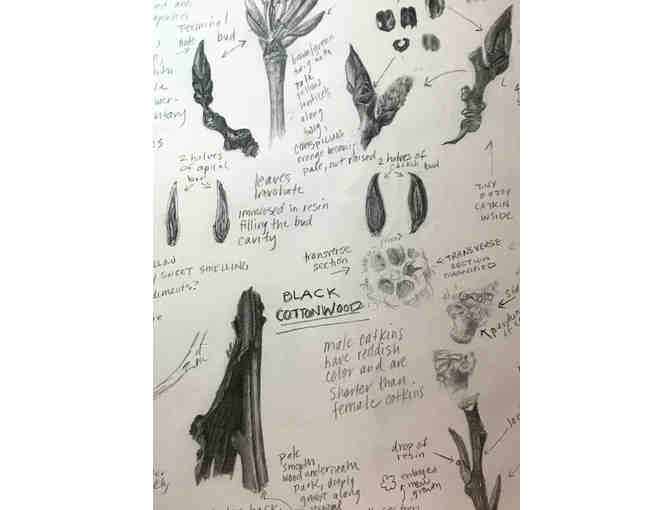 Botanical Art Greeting Cards