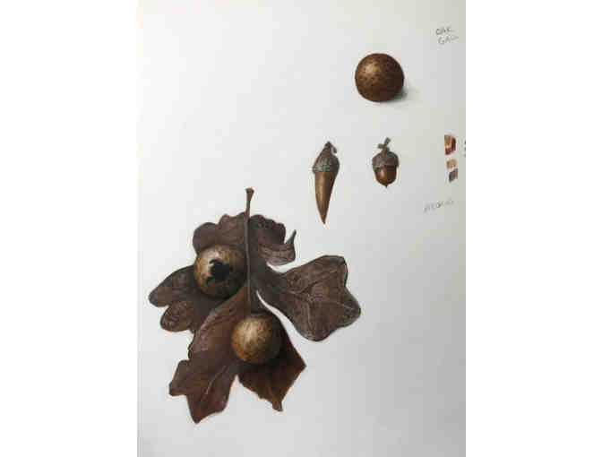 Botanical Art Greeting Cards