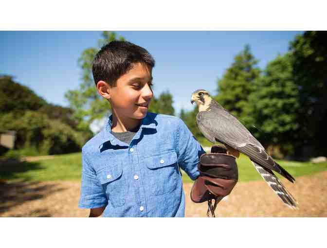 Woodland Park Zoo Day Passes (4)