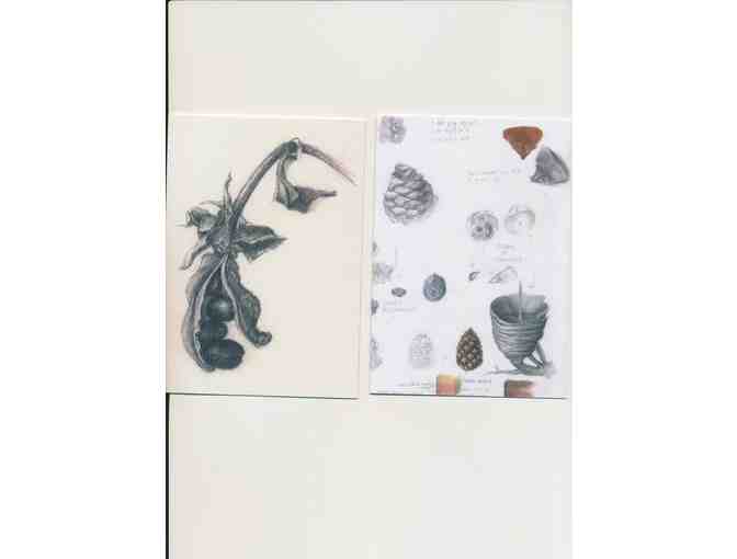 Botanical Art Greeting Cards Set #2