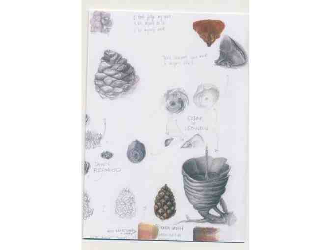 Botanical Art Greeting Cards Set #2