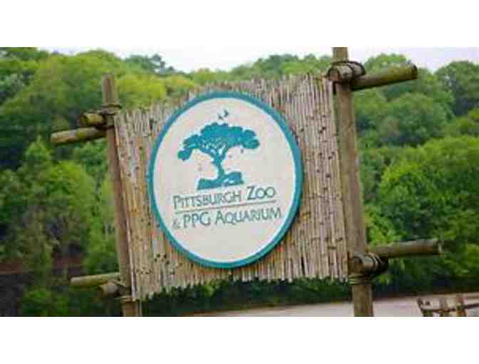 Get Up Close to the Animals