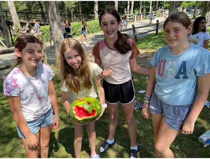 Camp Experience - Choose Your Own Peulat Tzrif! (Bunk activity)