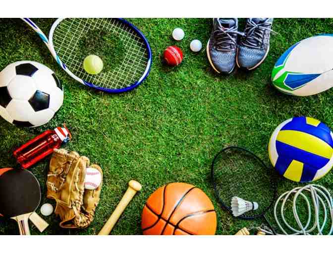 Out of Camp Experience - Day of Sports with Shaya!