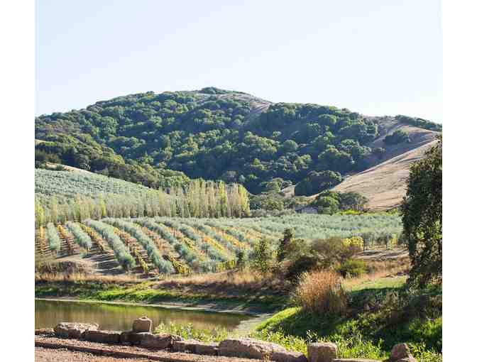 McEvoy Ranch Olive Oil Tasting for Two