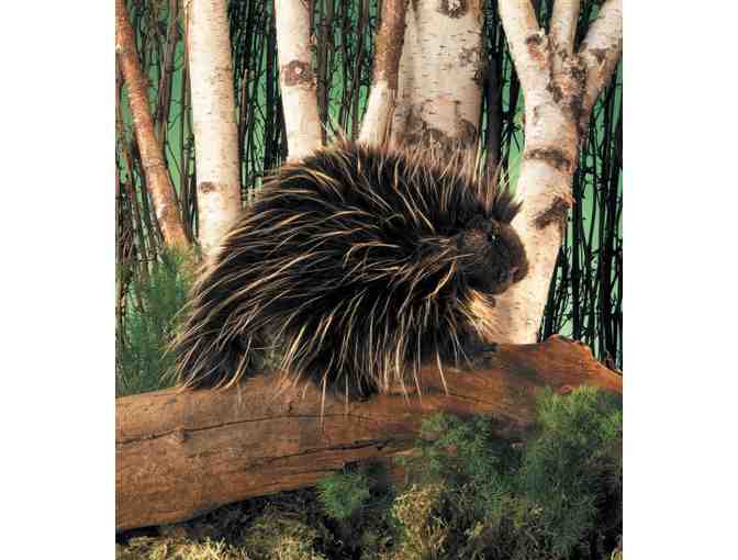 Set of 3 North American Forest Hand Puppets: Porcupine and 2 Little Badgers