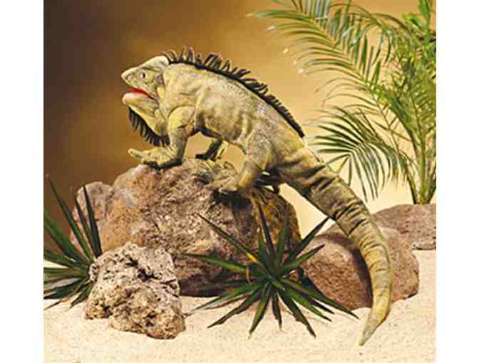 Iguana Hand Puppet by Folkmanis