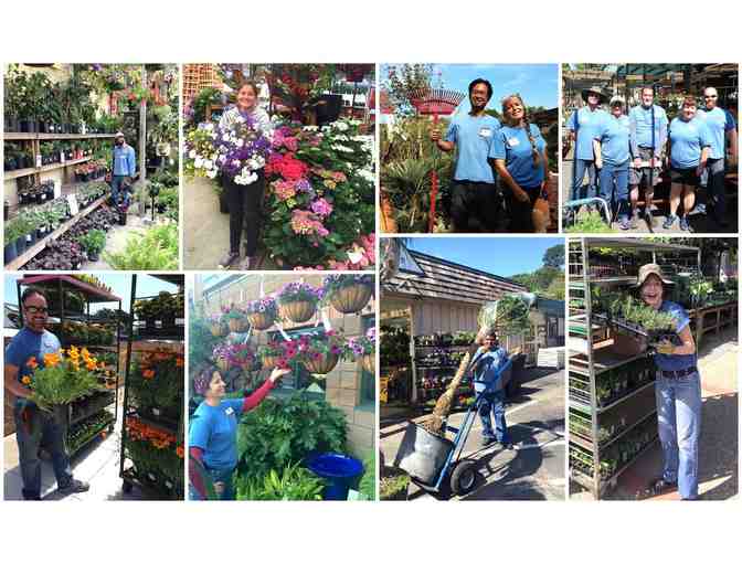 Sloat Garden Center $50 Gift Card