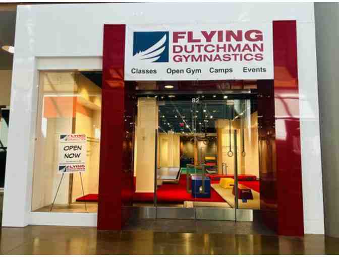 Flying Dutchman Gymnastics Christmas Break Camp Session!