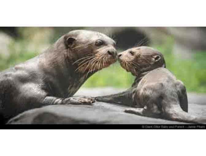 1 Year LA Zoo Family Membership