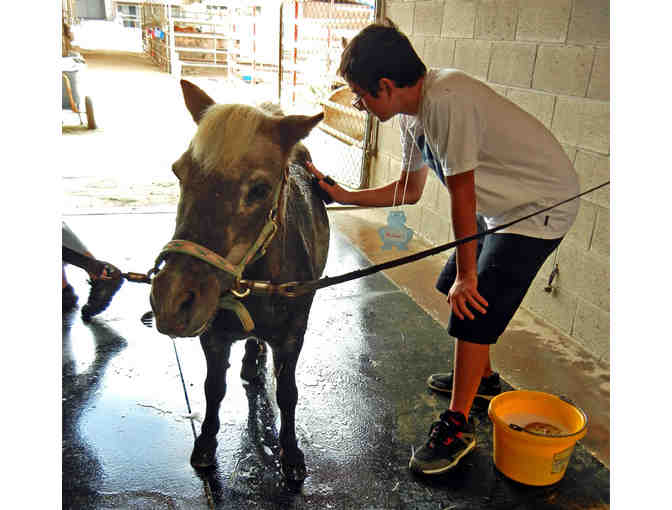 Helen Woodward Animal Center - 1 Week of Summer Critter Camp