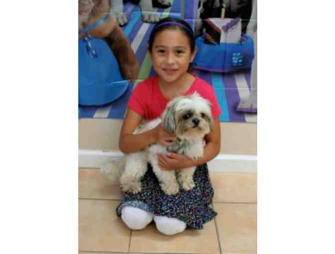 Rancho Coastal Humane Society - Birthday Party for 20