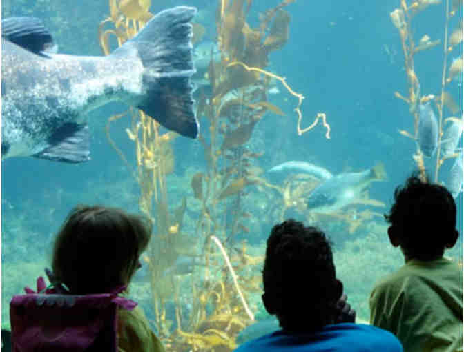 Birch Aquarium and Lunch with Mrs. Feinberg