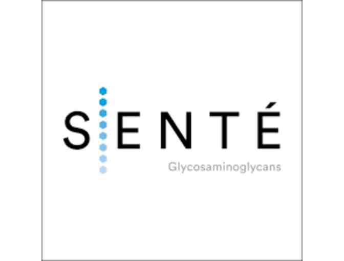 SENTE Product Bag