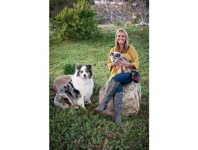 Get Pawsitive Dog Training - 1 Group Puppy/Manners Class Session Package