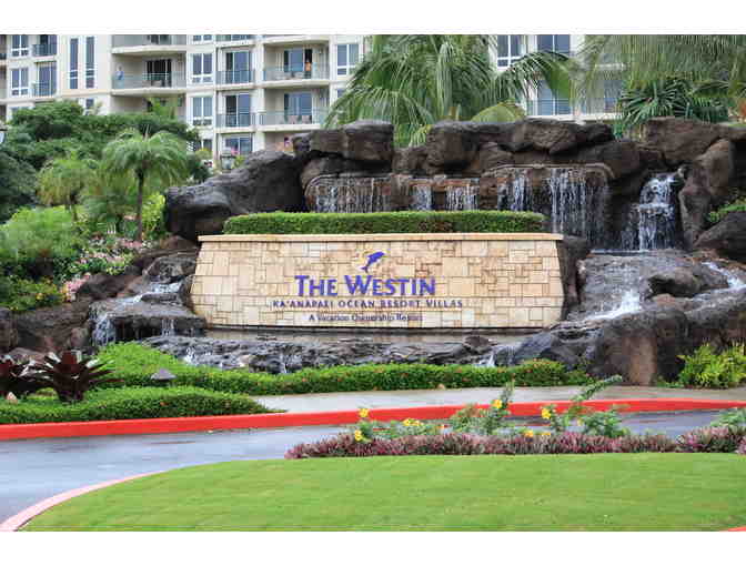 LIVE at GALA - Magnificent Maui - Fall Break - One Bedroom Premium Villa