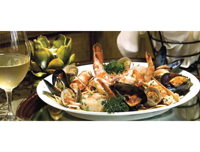 LIVE AT GALA - The Ultimate Desert Getaway!