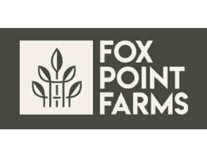 HEAL BOTANICS - NATURE'S ESSENTIALS GIFT BOX