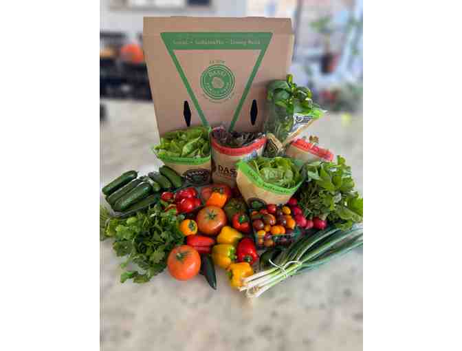 Dassi Family Farm - Fresh Produce Box