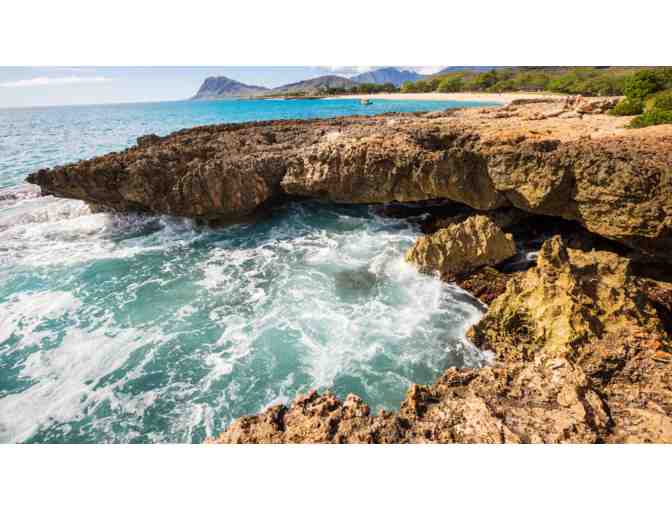 Waikiki Waves - Photo 3