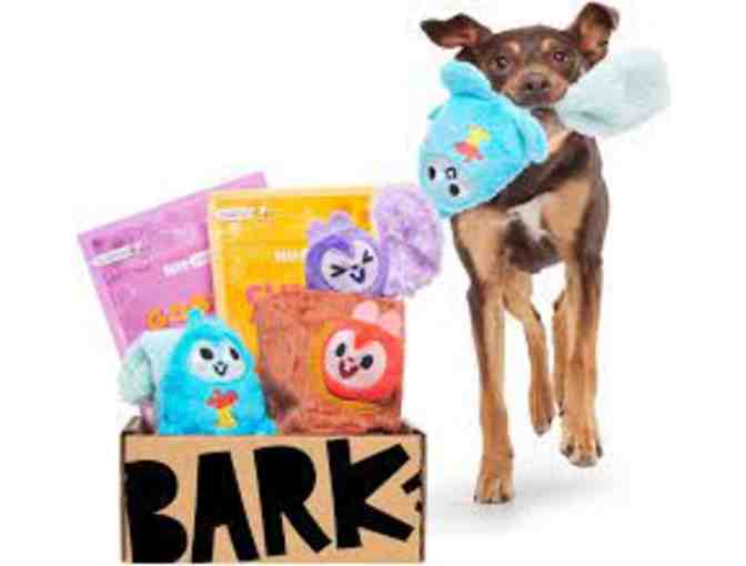 Bark Box Super Chewer Box!