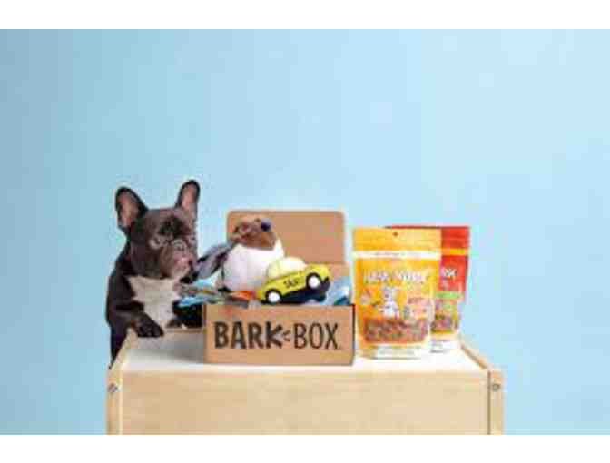 Bark Box Super Chewer Box!